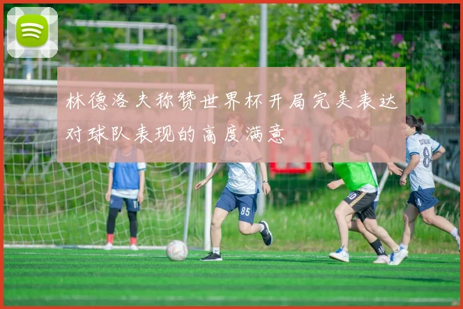 林德洛夫称赞世界杯开局完美表达对球队表现的高度满意