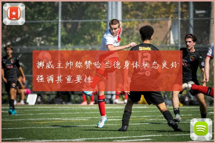 挪威主帅称赞哈兰德身体状态良好强调其重要性