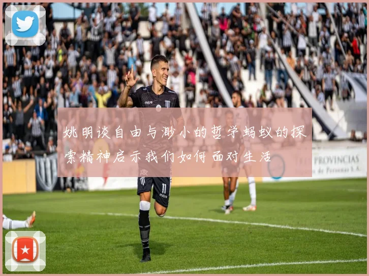 姚明谈自由与渺小的哲学蚂蚁的探索精神启示我们如何面对生活