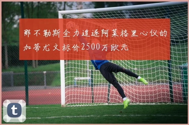 那不勒斯全力追逐阿莱格里心仪的加蒂尤文标价2500万欧元